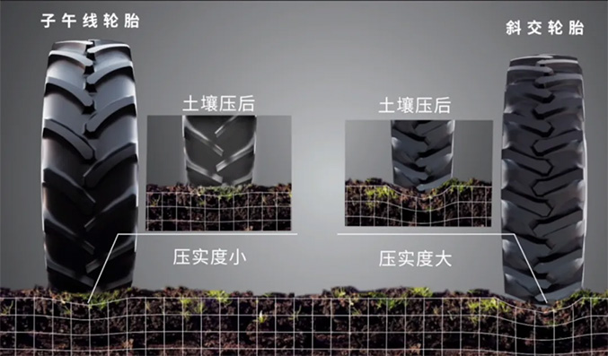 d845e33eb4854d649e1c45cf4113cc84